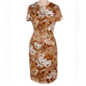 Brown Siri dress choose size 6 or‎ 12 nwt